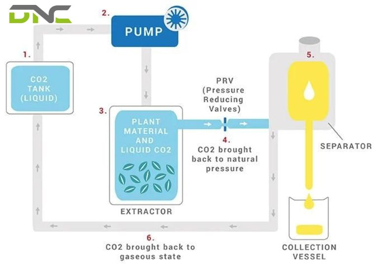 Phương pháp chiết xuất bằng CO2 