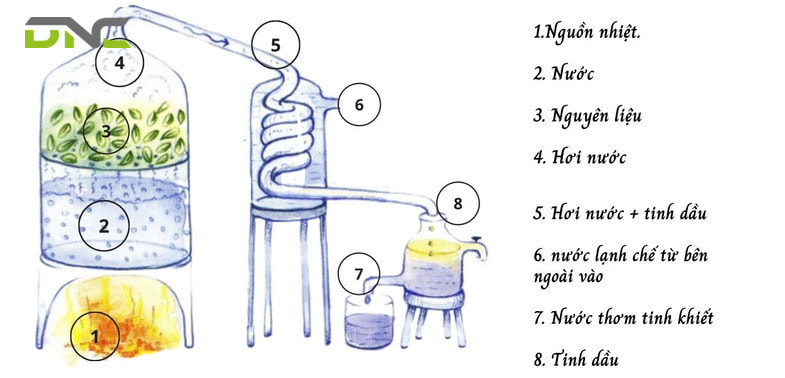 Quy trình chưng cất bằng nước và hơi nước