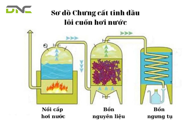 Quy trình chưng cất bằng hơi nước